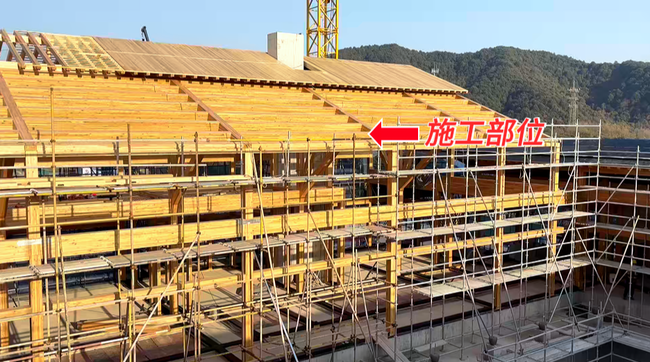 微信图片_20250214155943.png