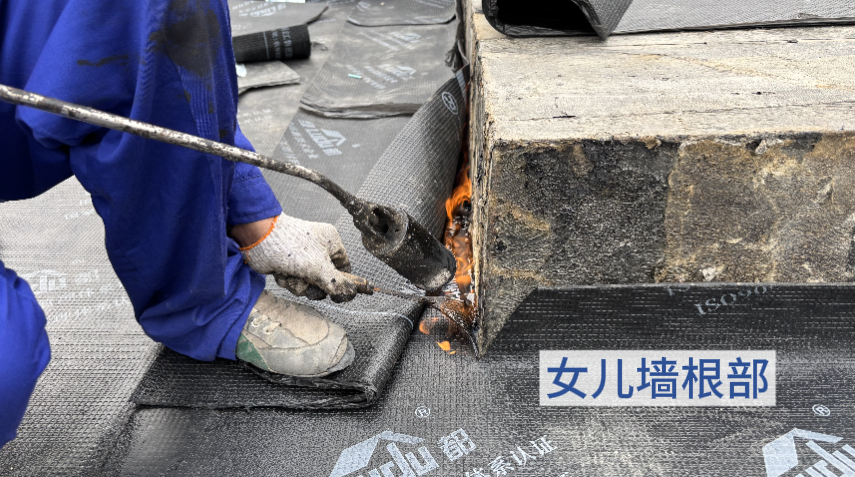 微信图片_20250228144546.png