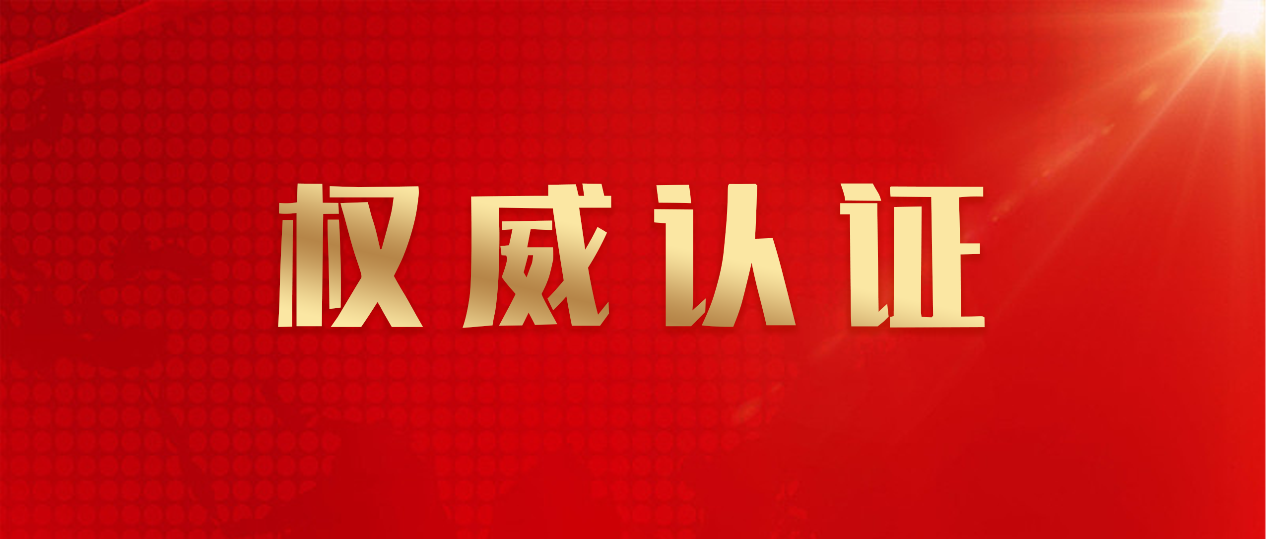 权威认证！基于鲁班防水参编标准撰写的论文入选《建筑业技术发展报告（2025）》
